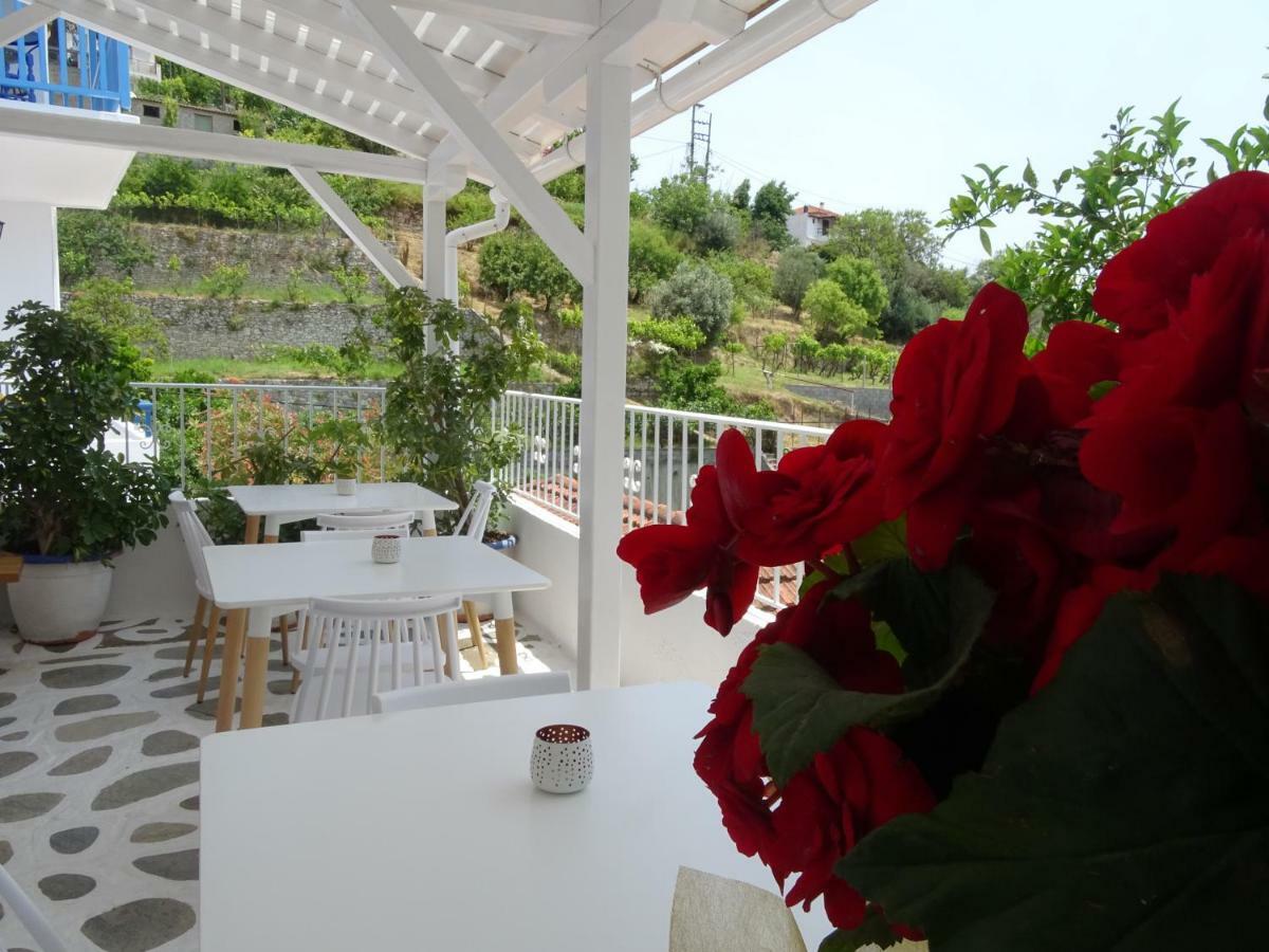 Aparthotel Galini Hellenic Hospitality Patitiri Exterior foto